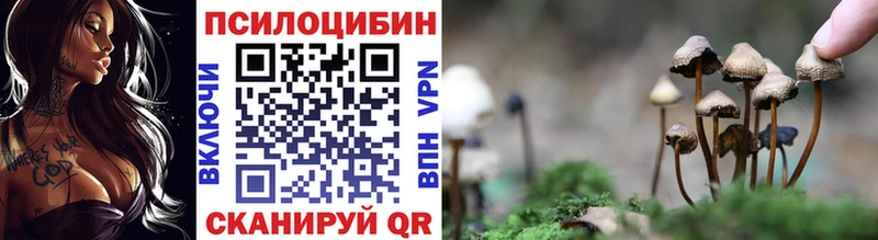 KRAKEN зеркало Поронайск Псилоцибиновые грибы MAGIC MUSHROOMS наркотики