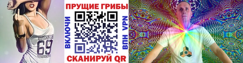 Псилоцибиновые грибы GOLDEN TEACHER Поронайск